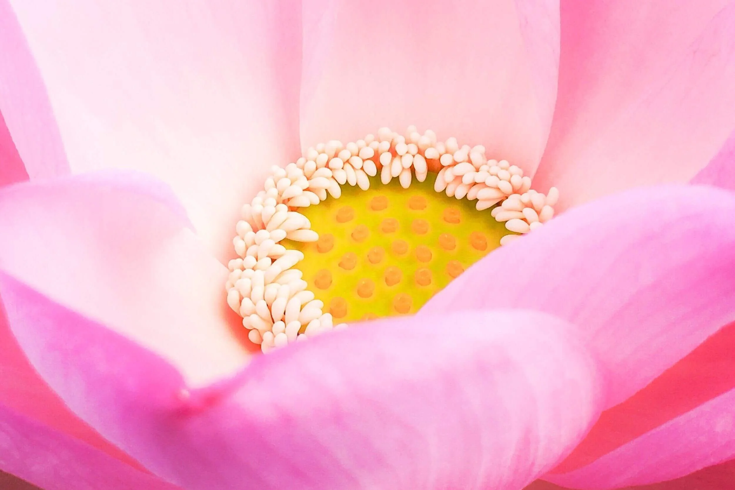 Theologian's Almanac for Week of May 21, 2023