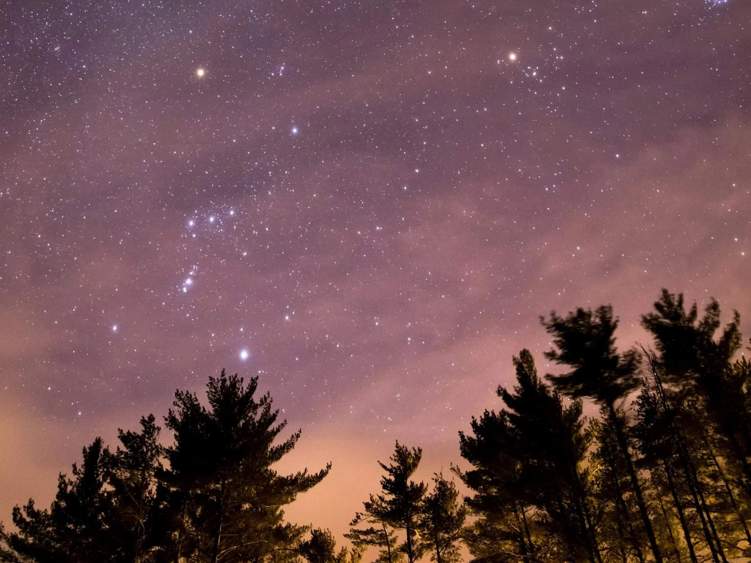 "Dead Stars," by Ada Limón