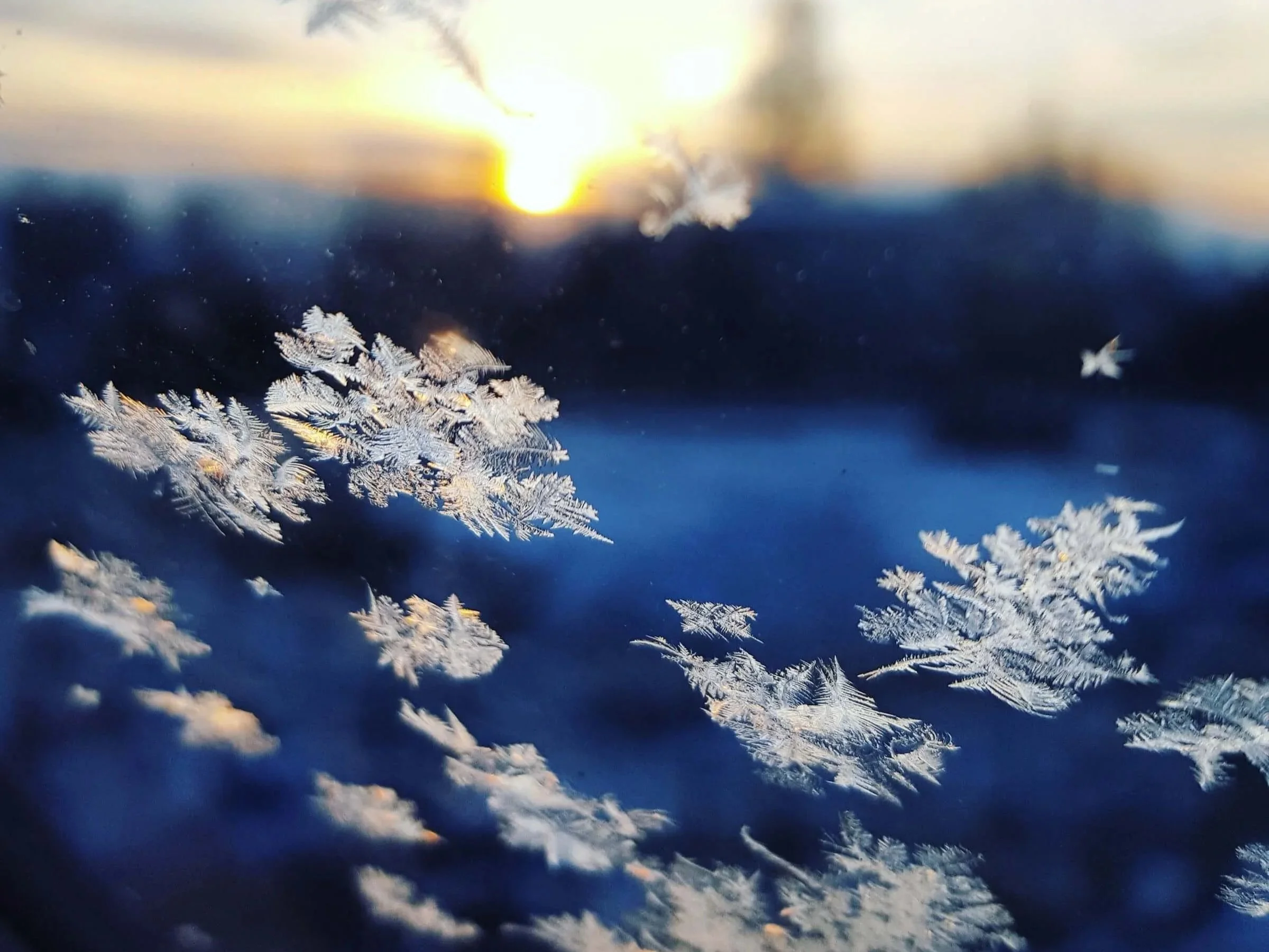 "Miracles," by Walt Whitman