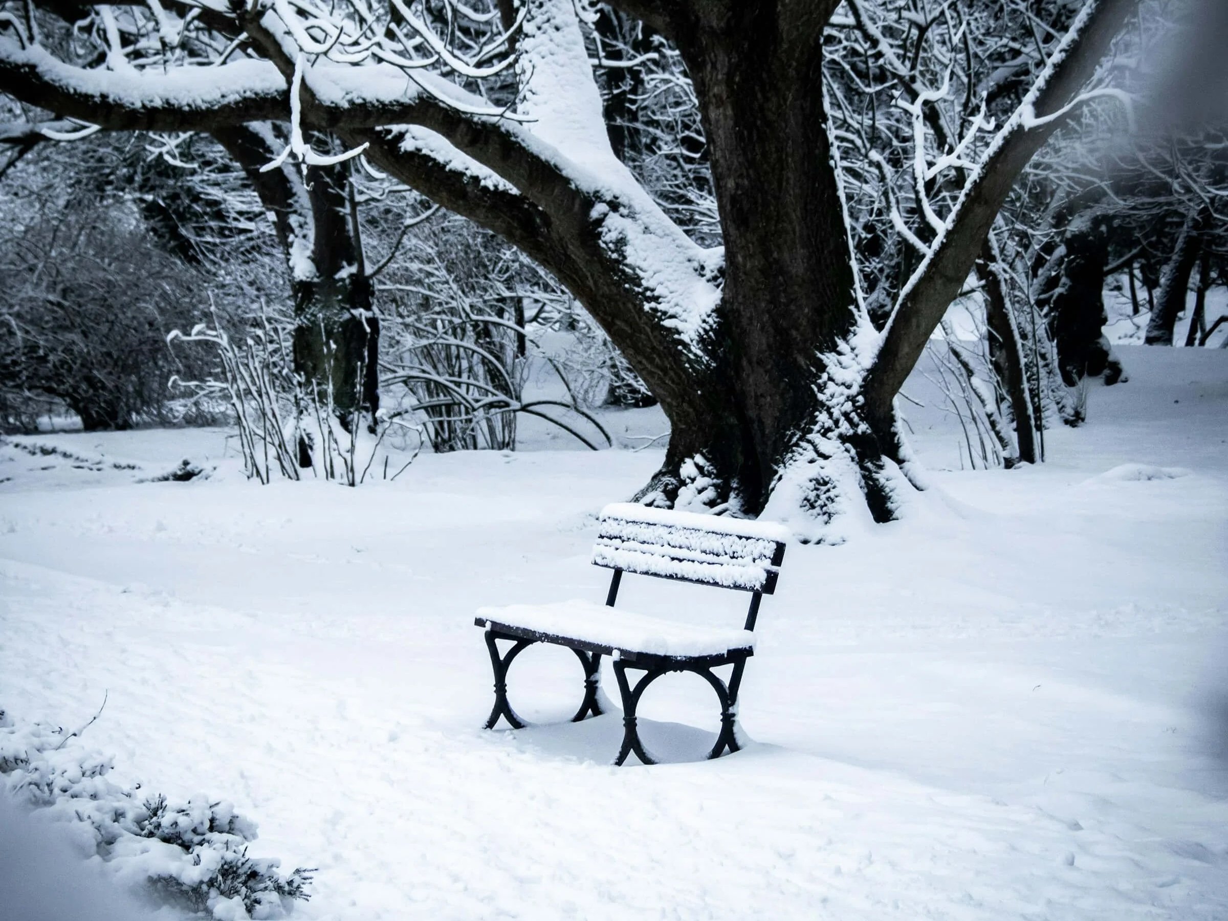"Boy Shooting at a Statue," by Billy Collins
