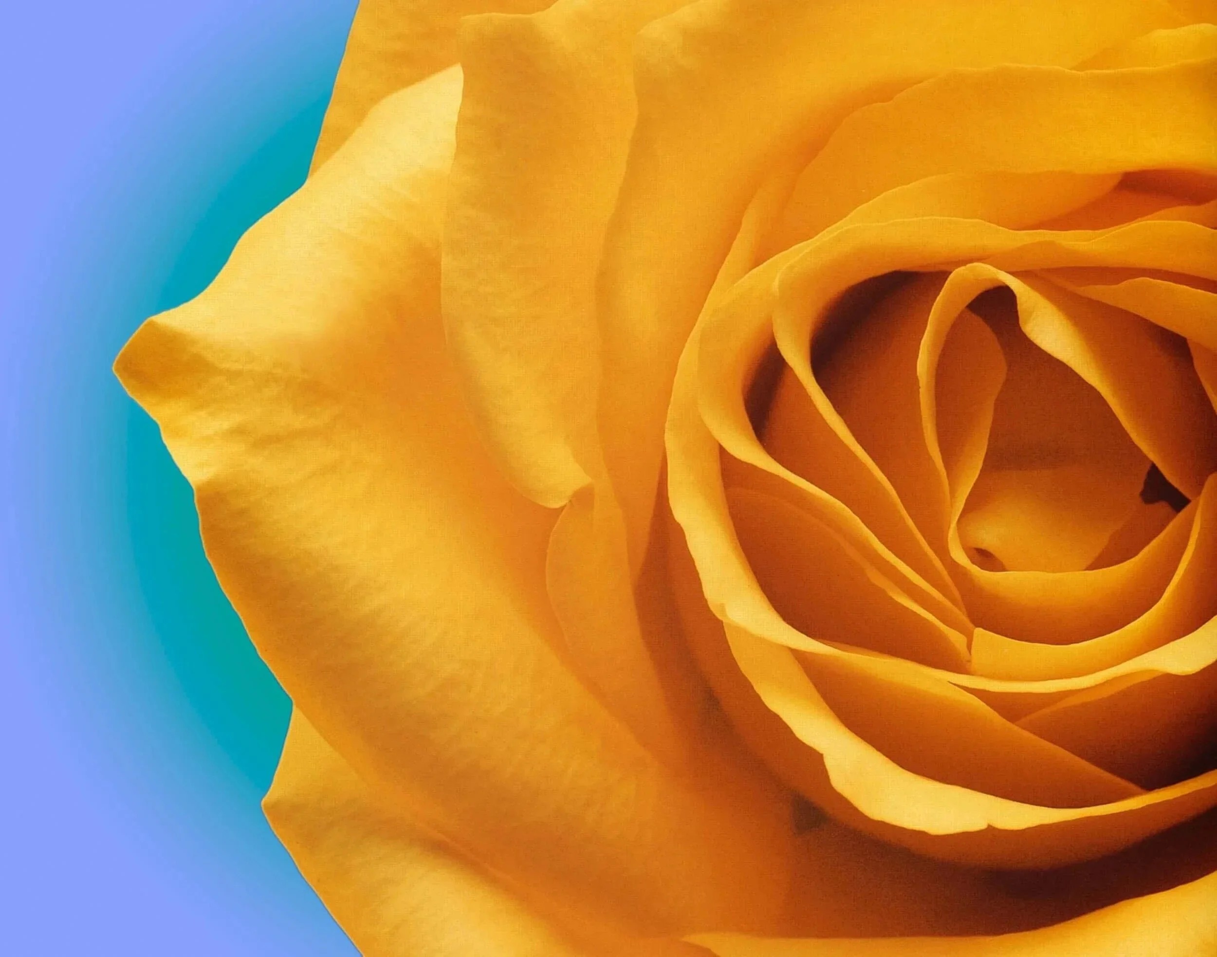 Theologian's Almanac for August 18-29, 2026