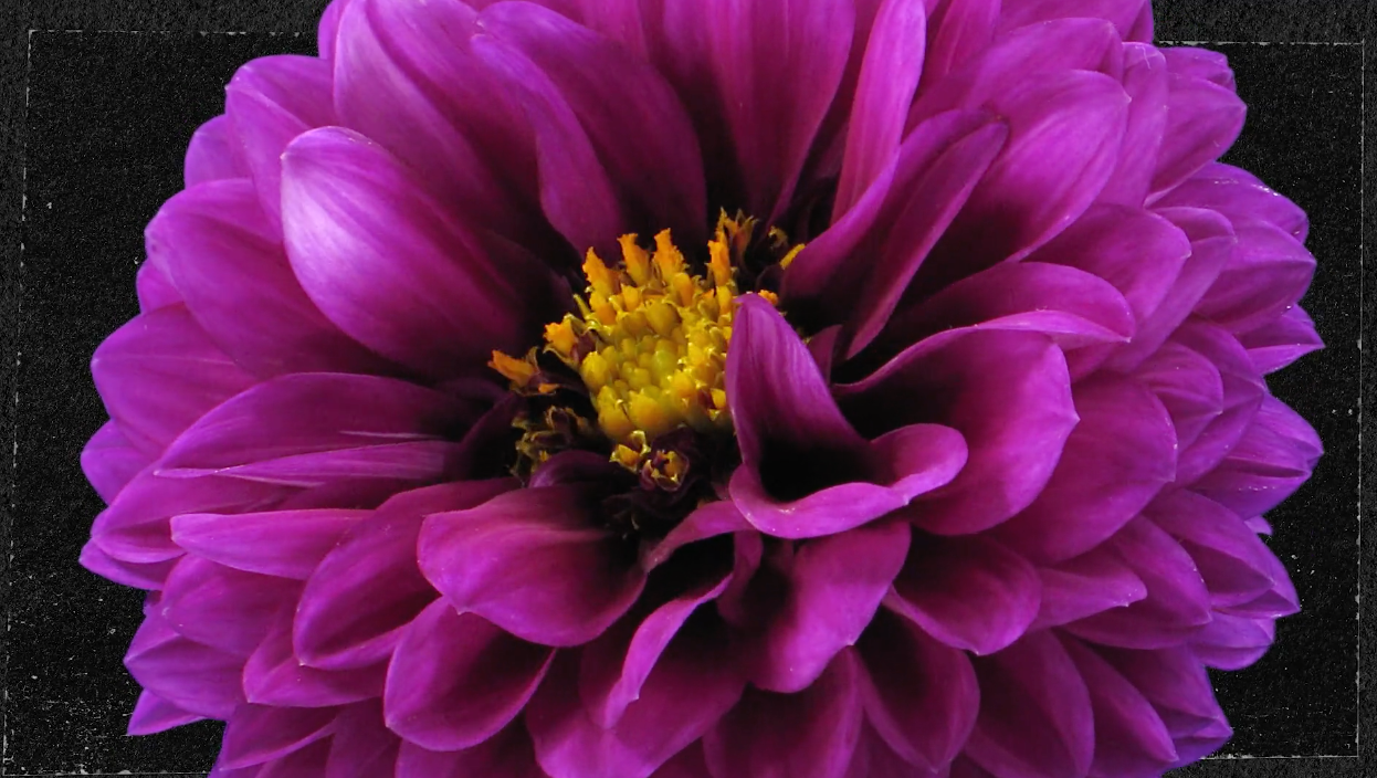 Lent: A Season of Circles