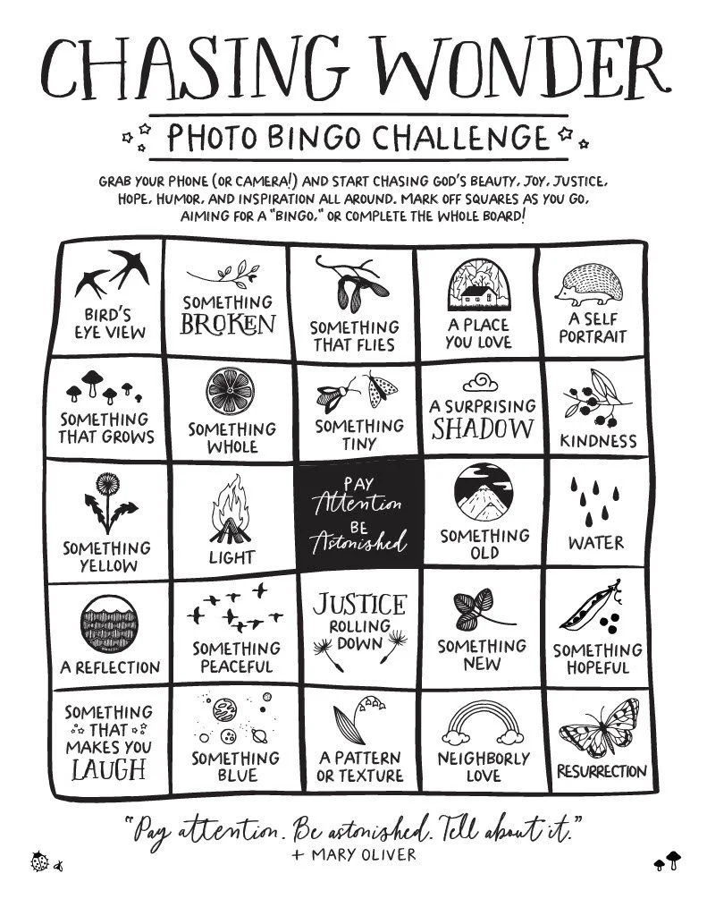 Chasing Wonder Bingo Board.jpg