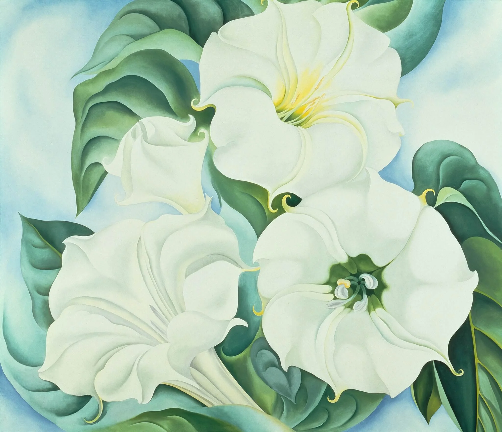Georgia O Keeffe Paintings Flowers Best Flower Site