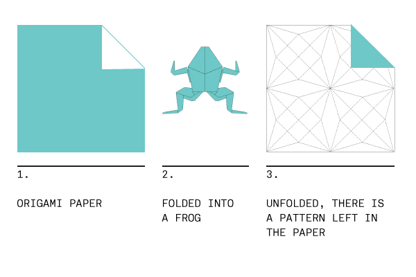 frog-to-unfold.png