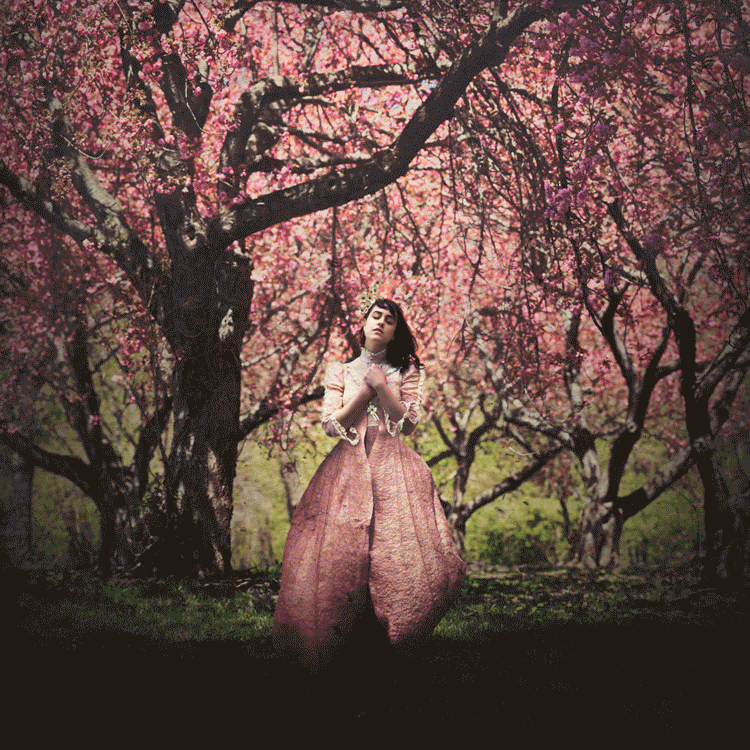 Originally my idea was to build a dress using dozens of individual flower pedals that I shot with Steph for about an hour, only to stop mid-way through my first edit/build of the image to start over from scratch with a more simplistic idea. I liked the concept, but I just wasn't executing my idea properly in photoshop and had to take a step back. Upon revisiting the image, I cropped in a bit more, made the image softer, and built a more simplistic dress that better fit the mood I was looking for in this photograph. All in all, I'm so happy with how it turned out! 