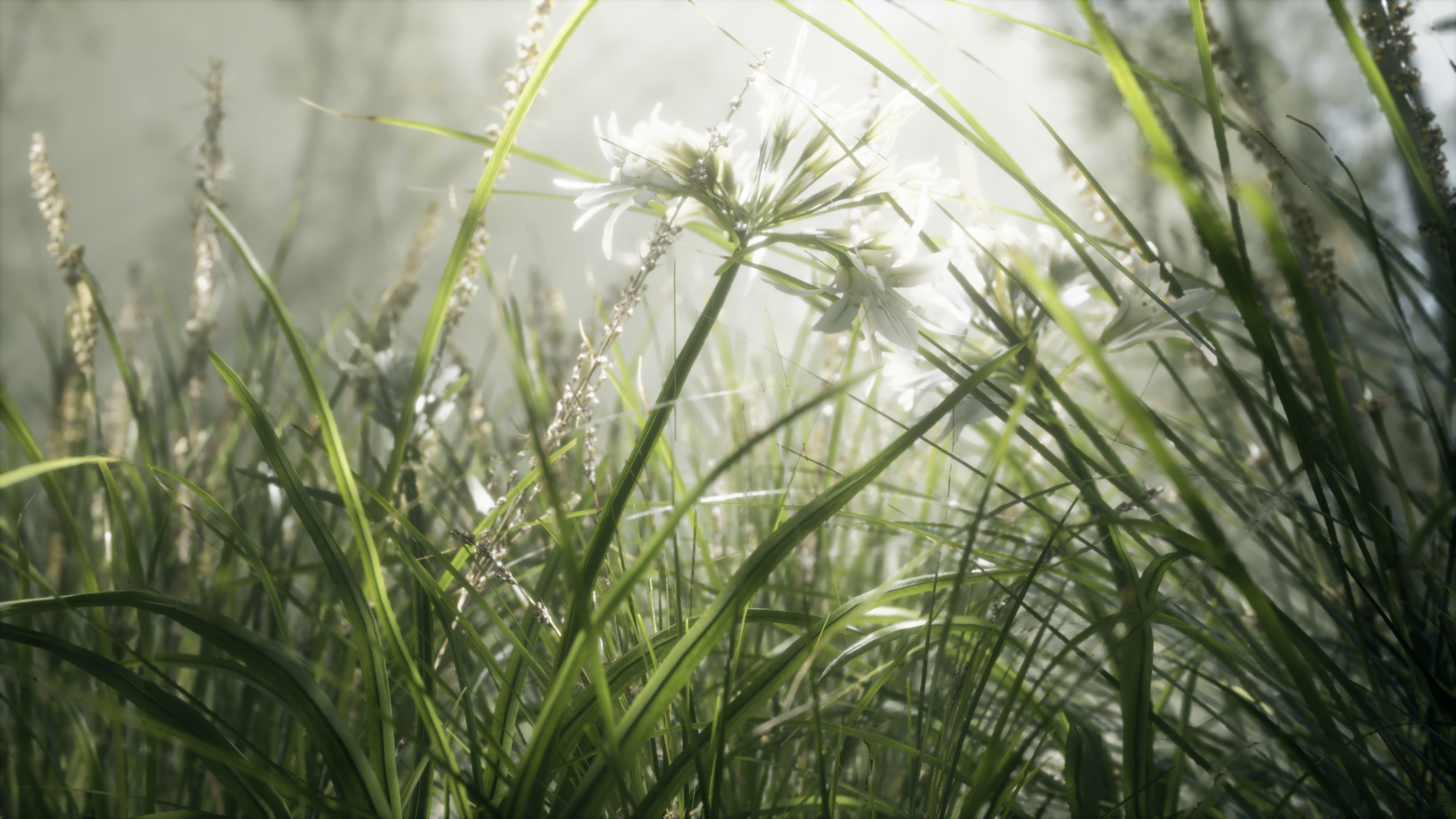 Screen Shot 2020-05-01 at 4.46.39 PM.png