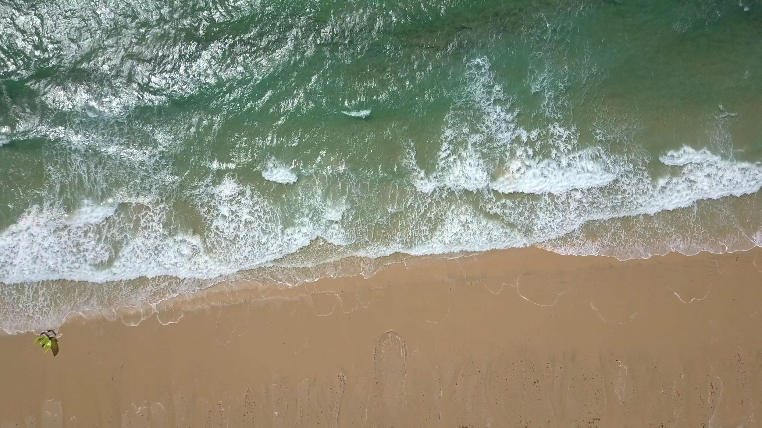 Screen Shot 2020-05-01 at 4.31.55 PM.png