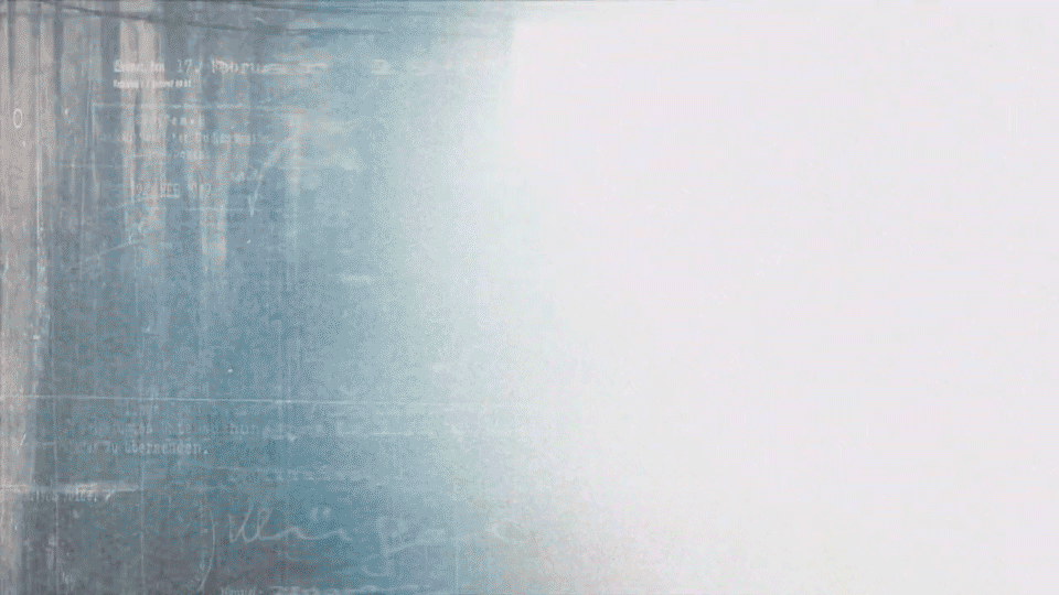 Liberator-1.gif