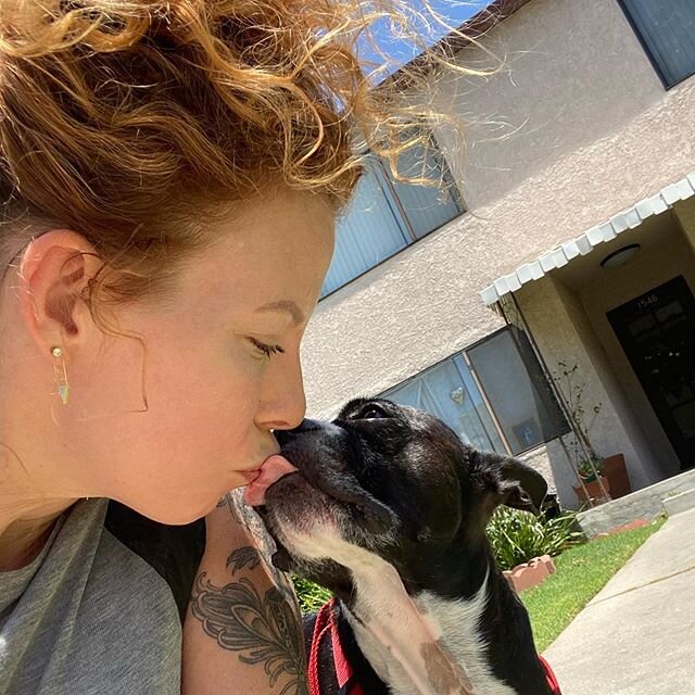 It&rsquo;s a nice day ...whaaaat we made out... #lovethiskid  #furkid #furbaby #zerohunterlawter  #bostonsofinstagram  #dogkisses