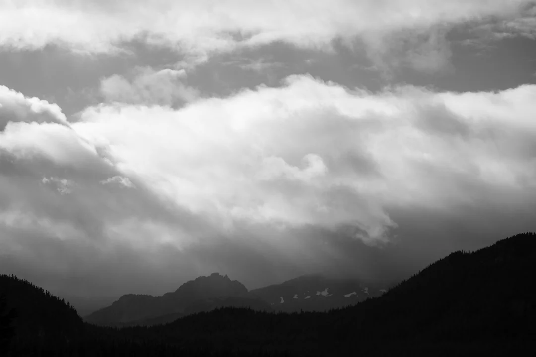 Comox Valley-5.jpg