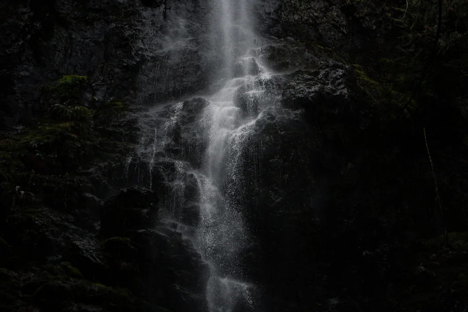 cumberland forest -5.jpg