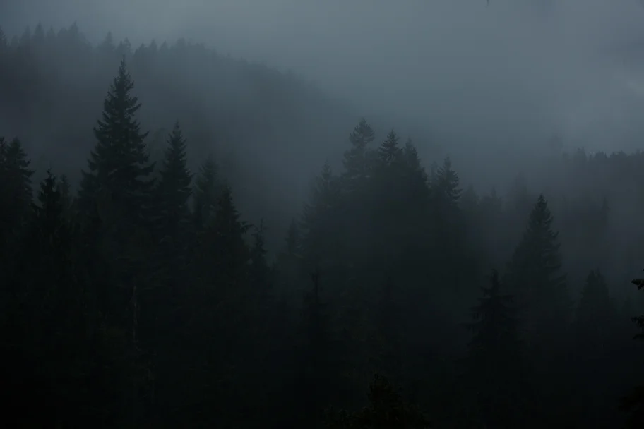 cumberland forest -6.jpg