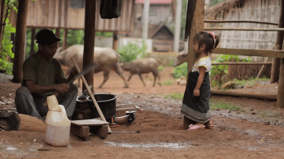 wandering_study_adventure_video_laos_machete_man_cows