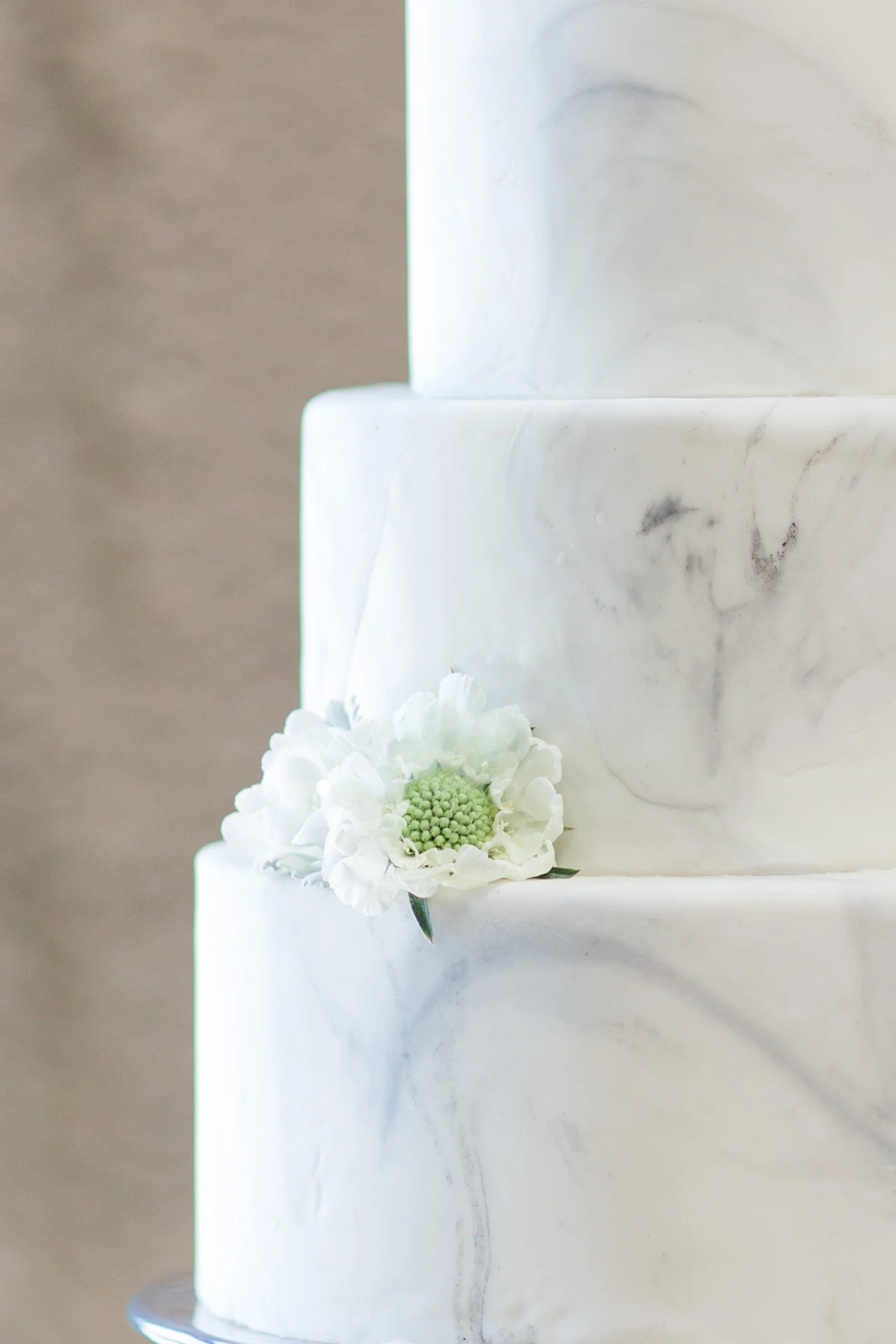 marble cake photo credit: Daisy Moffatt Photography