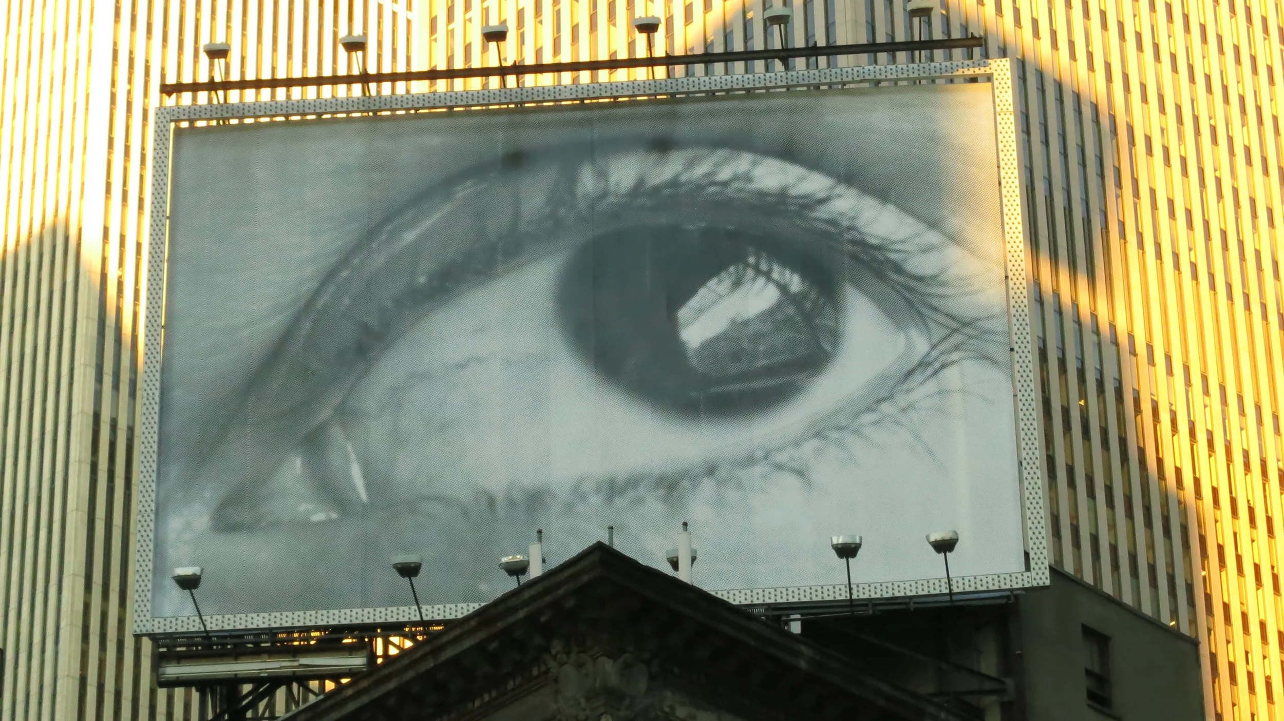 engage the world with all your senses