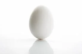 egg.jpeg