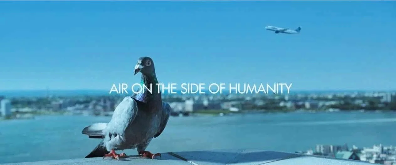 pigeon.jpg