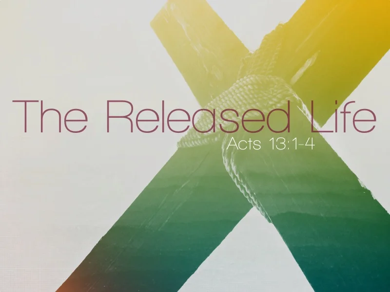 The Released Life - 2.1.15