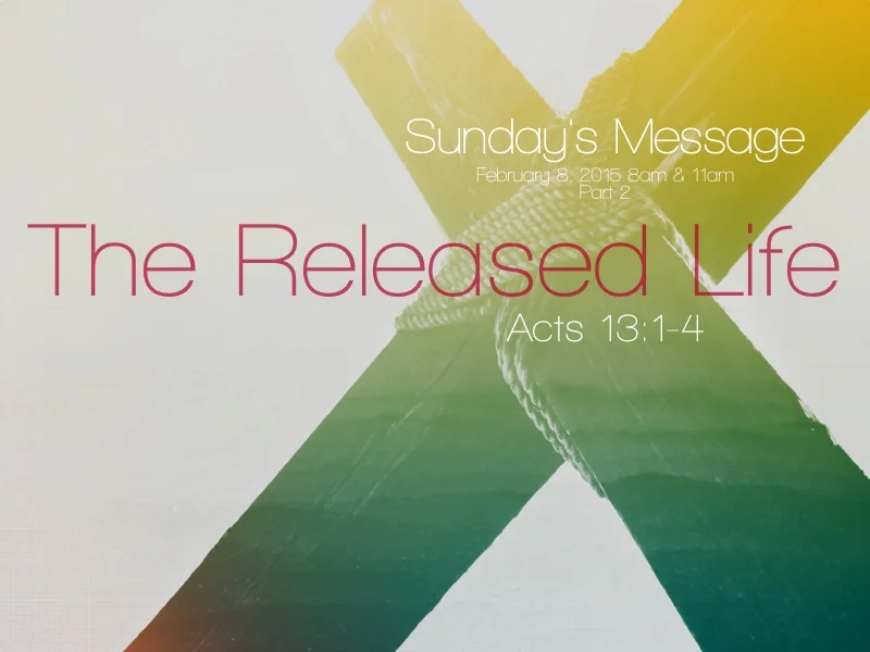 The Released Life (Part 2) - 2.8.15