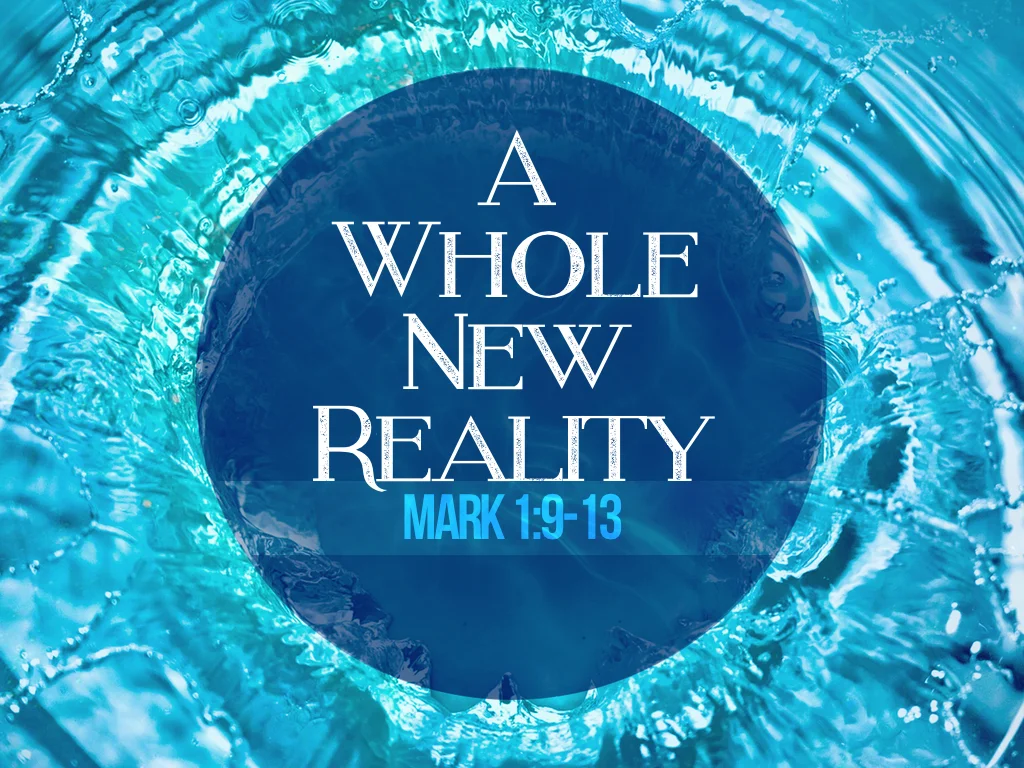 A Whole New Reality - 5.24.15