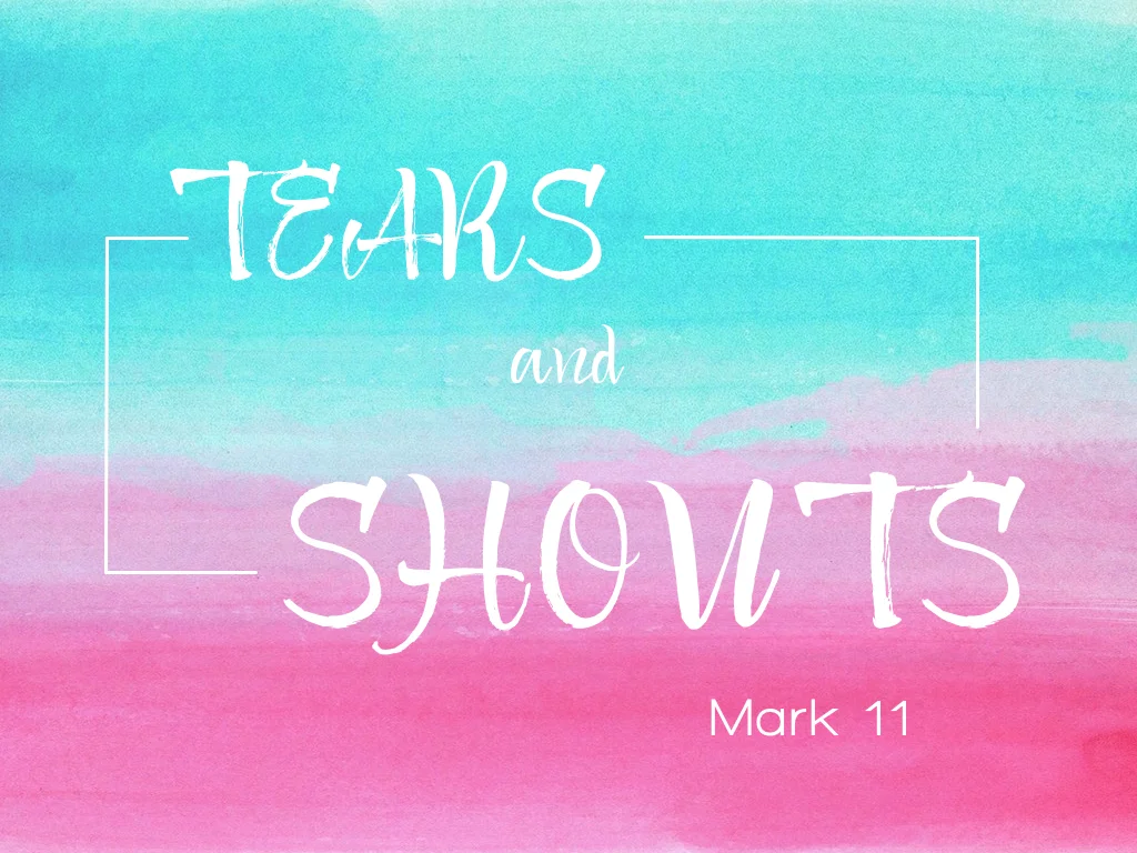 Tears and Shouts - 8.23.15