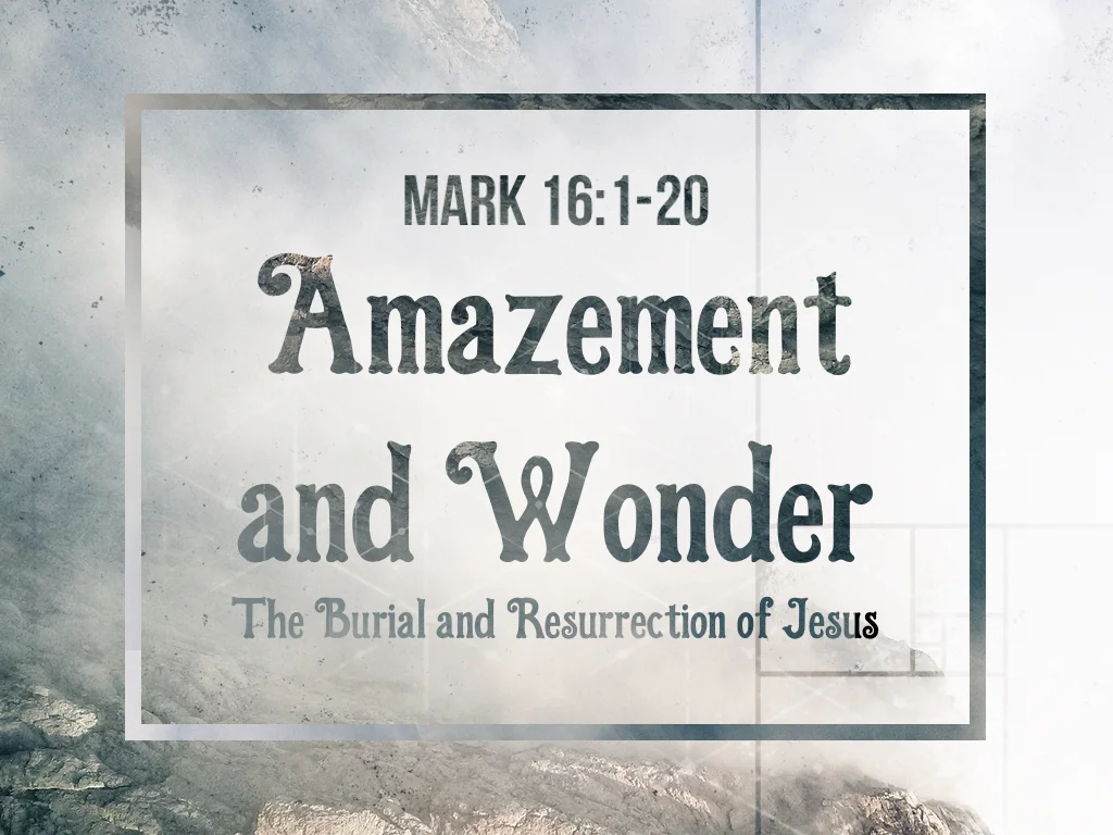 Amazement and Wonder - 10.5.15