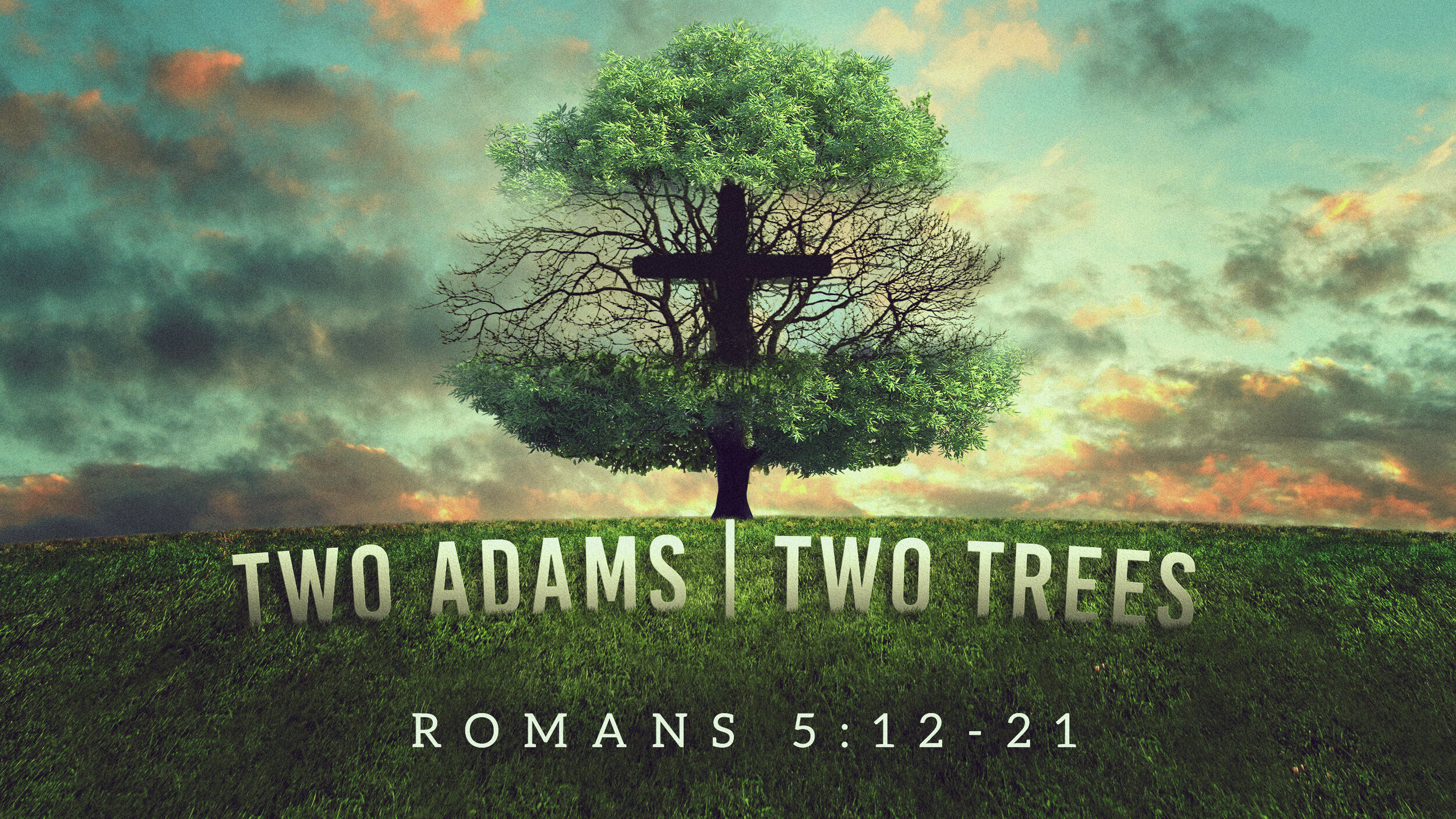 Two Adams, Two Trees