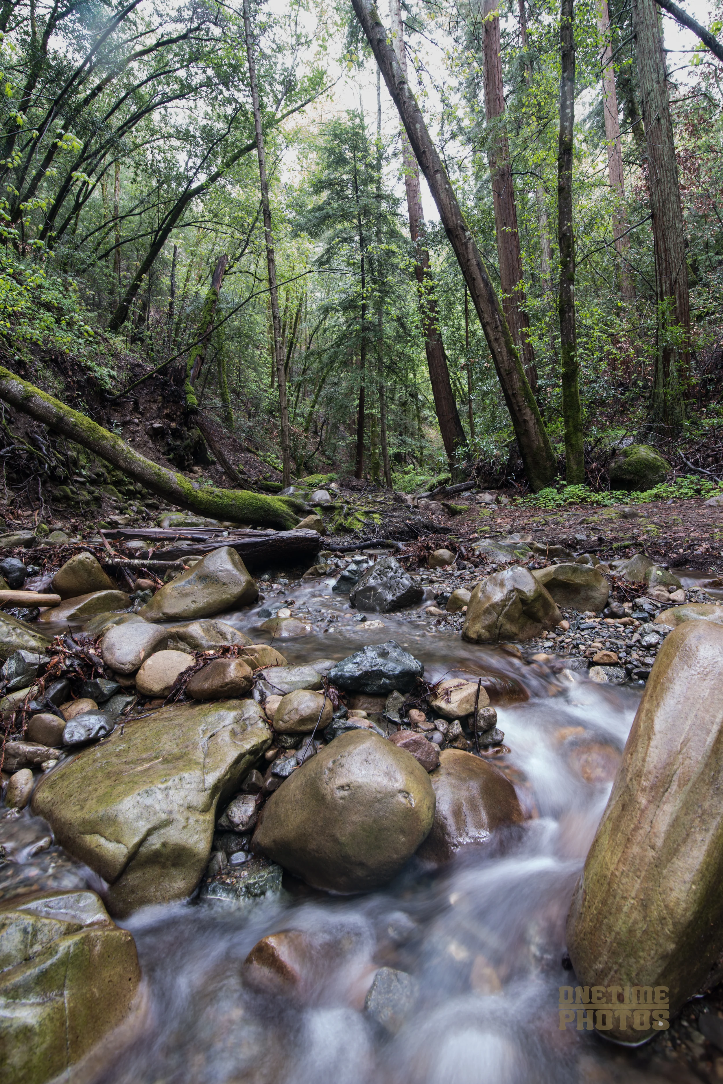 _DSC3938.jpg
