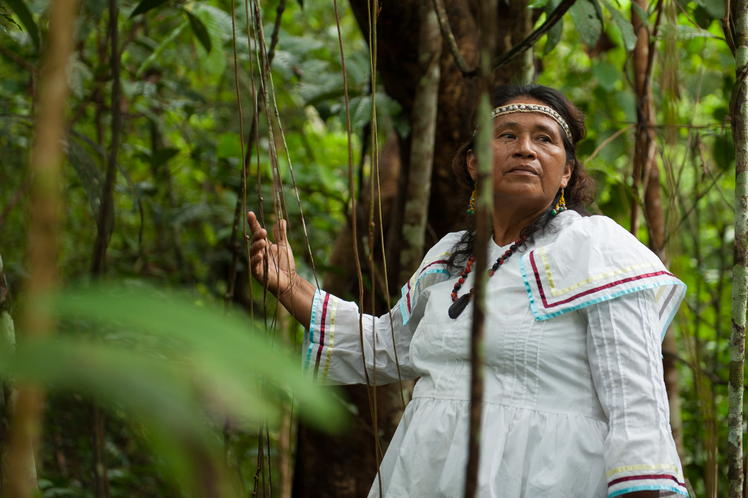 Ema Tapullima, the community leader of the Kukama Kukamila people of Puerto Prado, Brazil, stands amidst the Amazonian forest that she works to protect. After witnessing the destruction of her neighbors' forests along the Marañon River, she reached out to a local NGO to protect the forest as a private conservation area -- the first of its kind in Peru.
