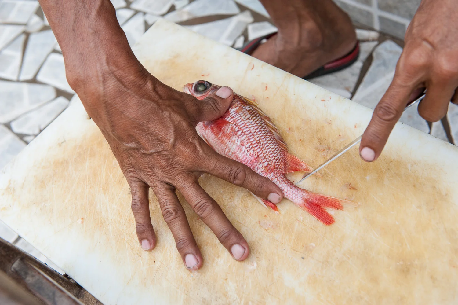 The ocean is the primary -- and most affordable -- source of food for residents of the favela (slum) Poca da Draga, Fortaleza.