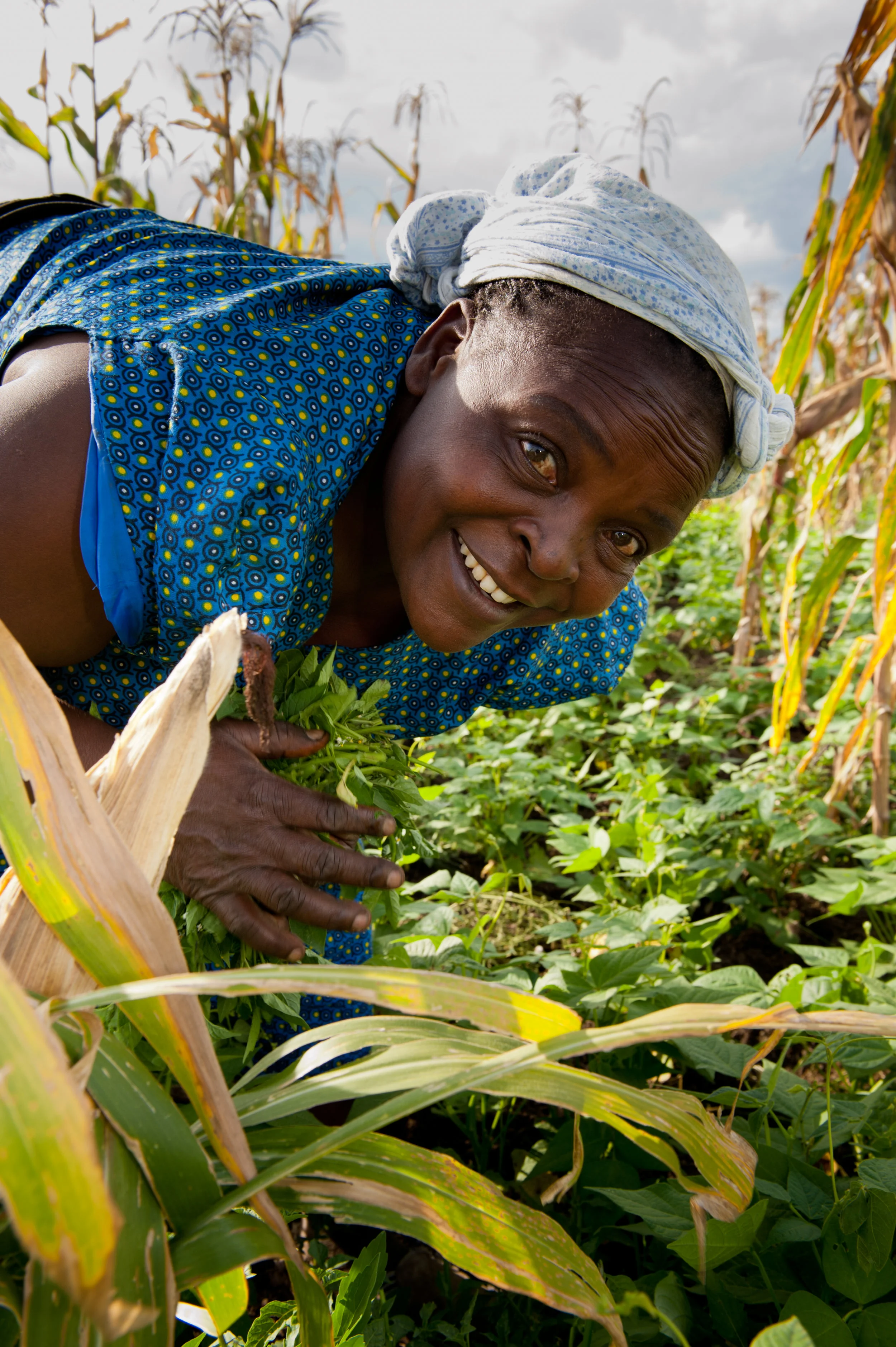 Although women comprise an estimated 43% of the agricultural labor force around the world, women are typically denied equal rights to access, use, inherit, control, and own land. Landlessness is the number one predictor of poverty. 