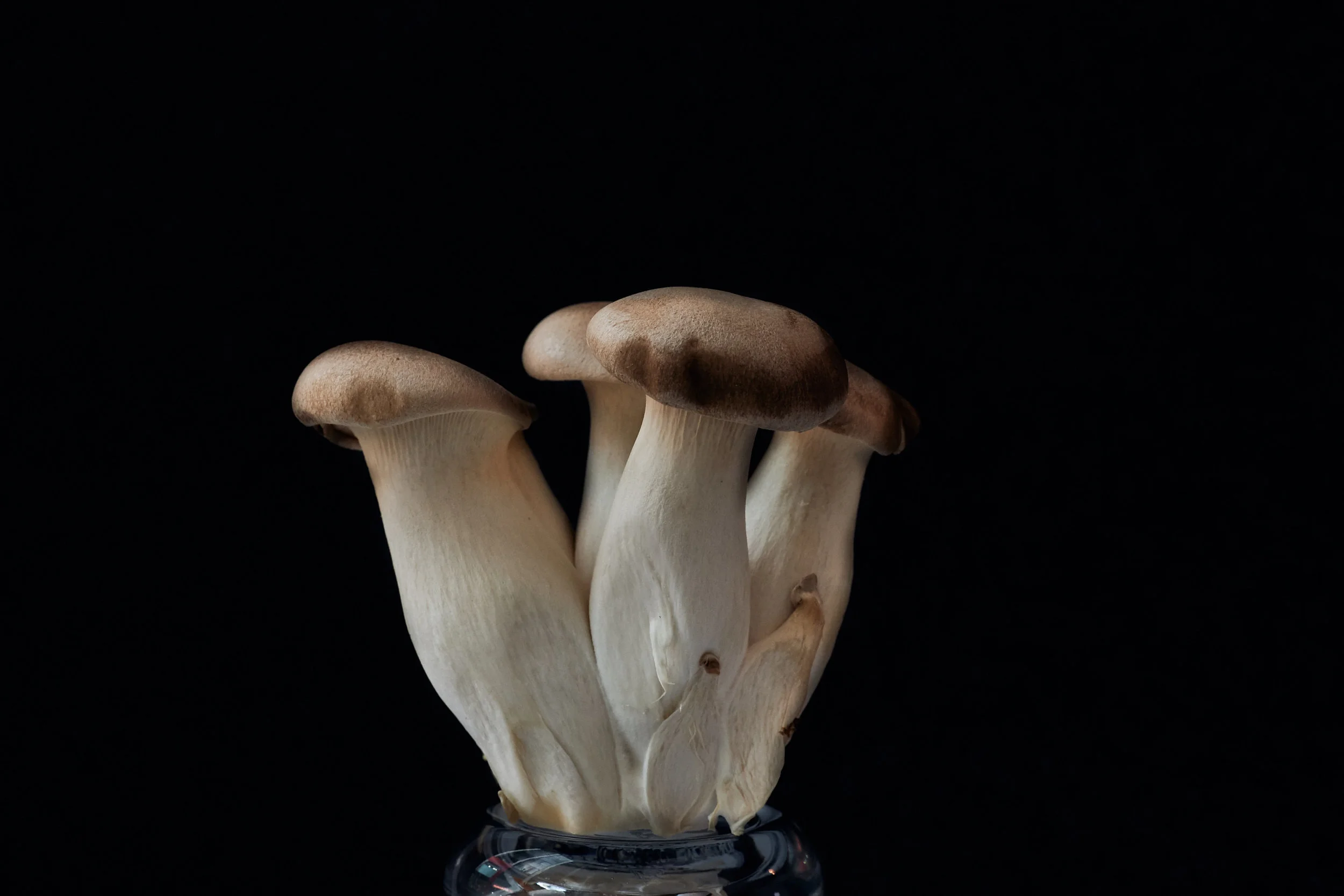 They try really hard to provide the best Japanese comfort food to Melburnians. 