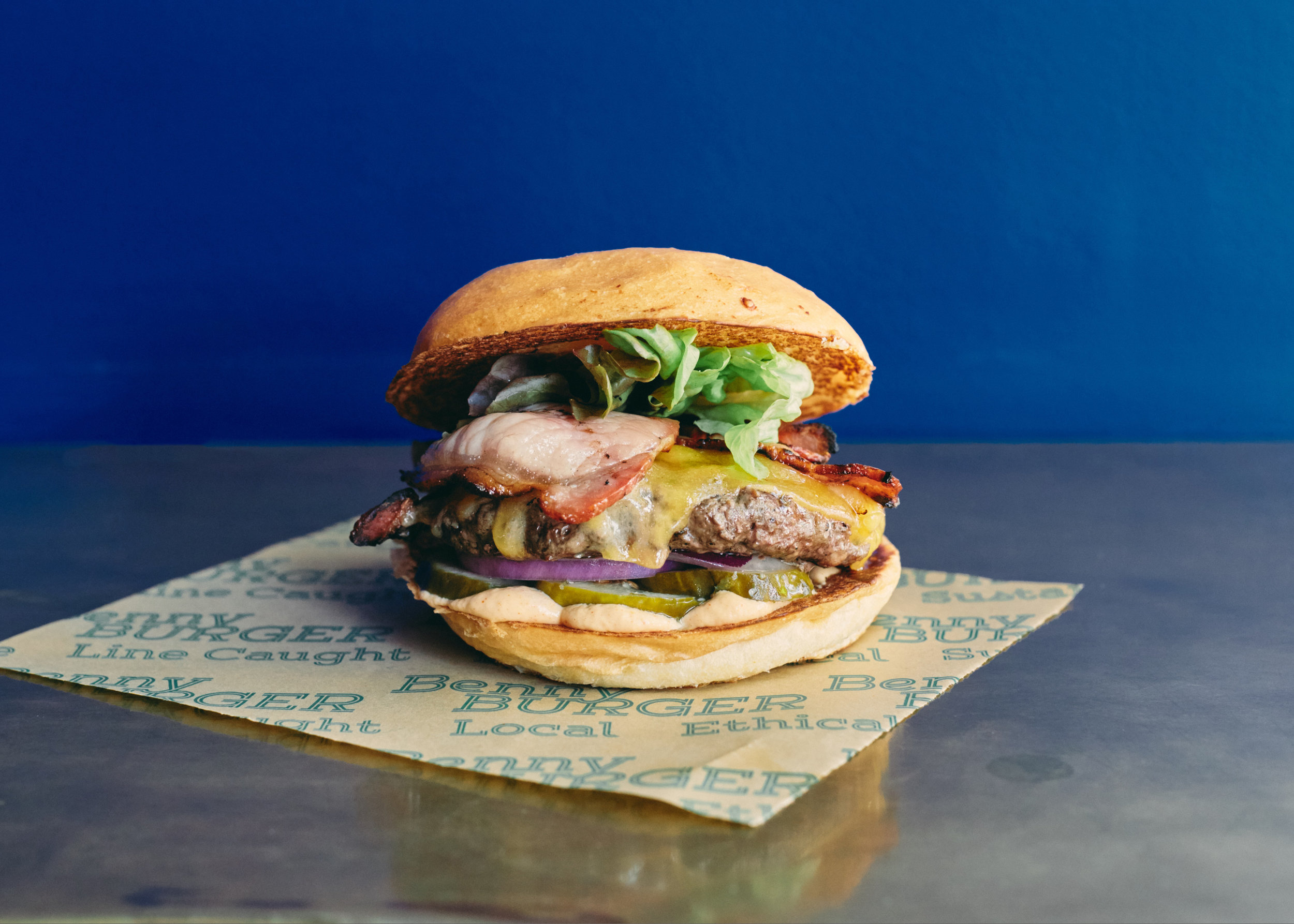 Benny-Burger-Harvard-Wang-Jan-2018-003.JPG