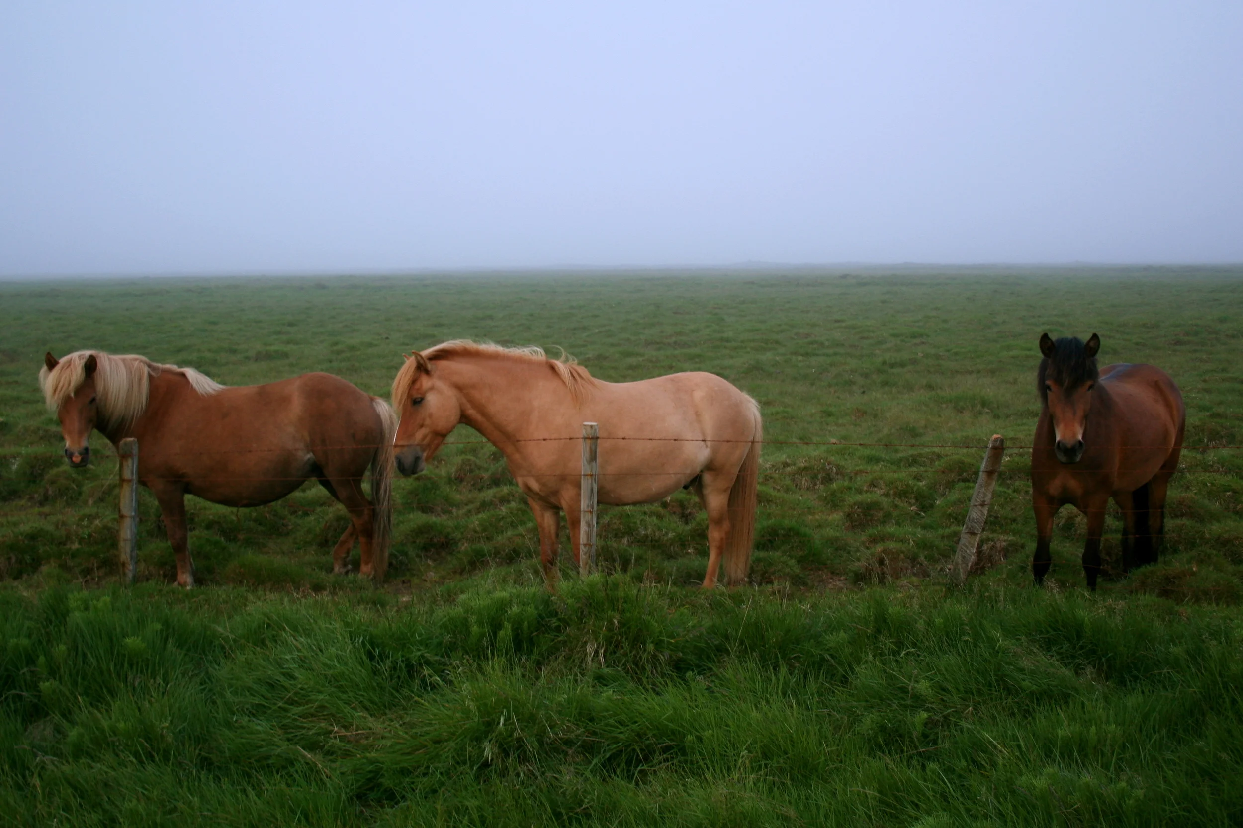 Iceland (2009)
