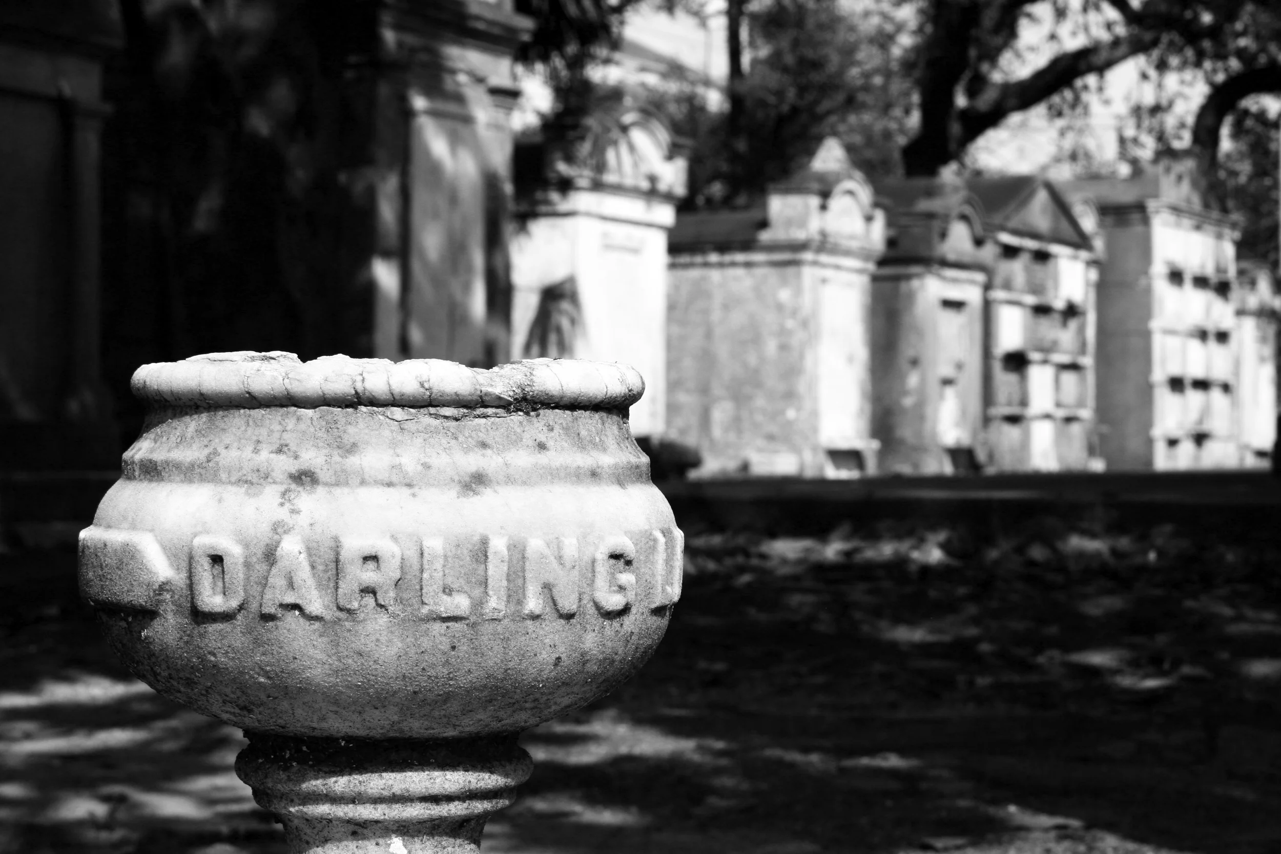 Darling. New Orleans, LA (2013)