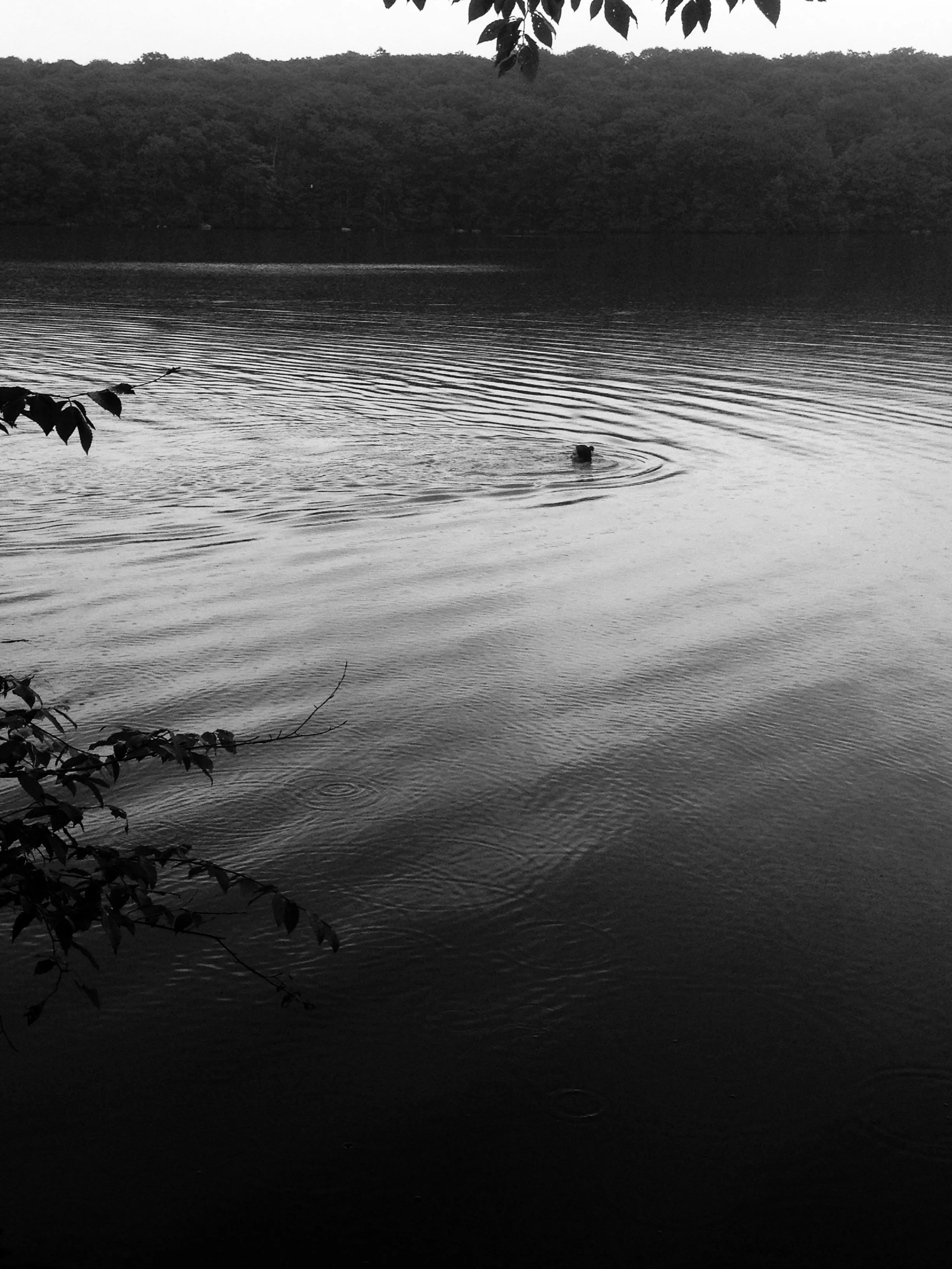Solo Ripple.  Taconic, NY (2013)