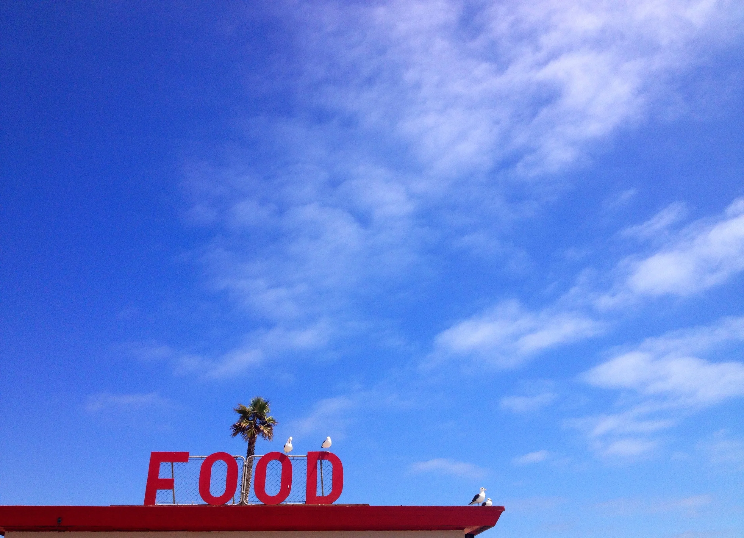 Zuma Beach, CA (2014)