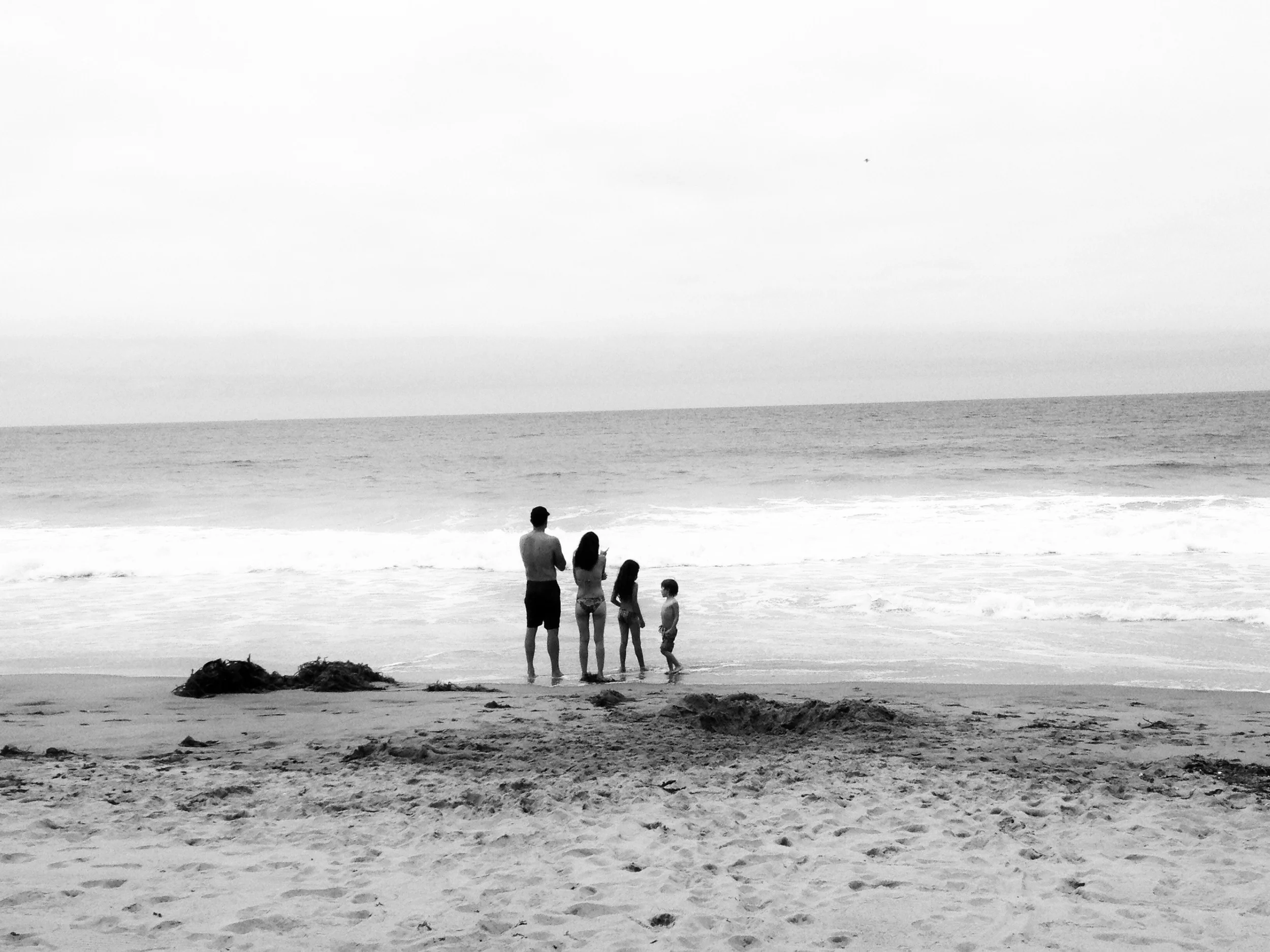 Organized. Zuma Beach, CA (2014)