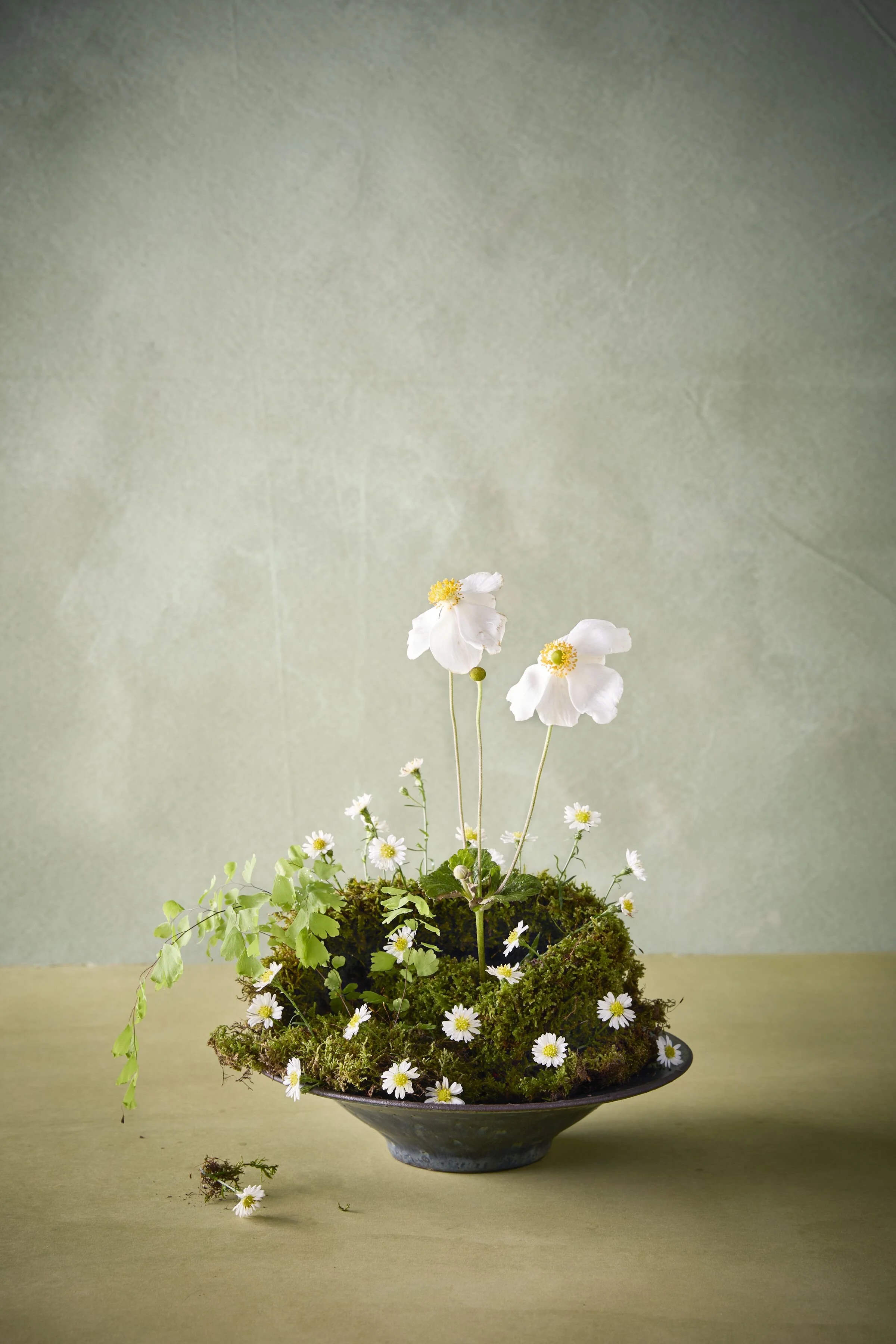 000_ST_ES24_Covers_MossSculpture_134.jpg