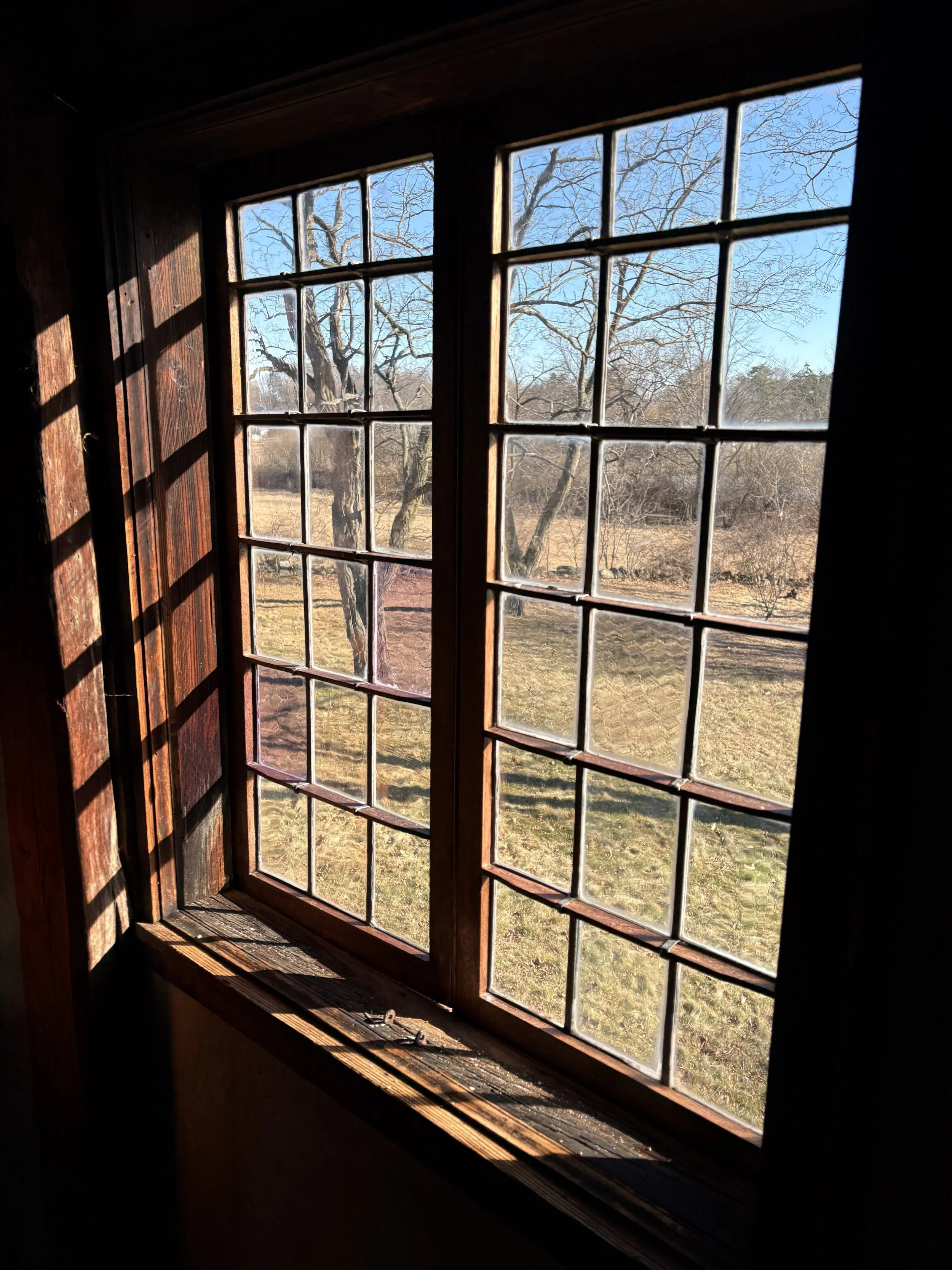image21.jpeg