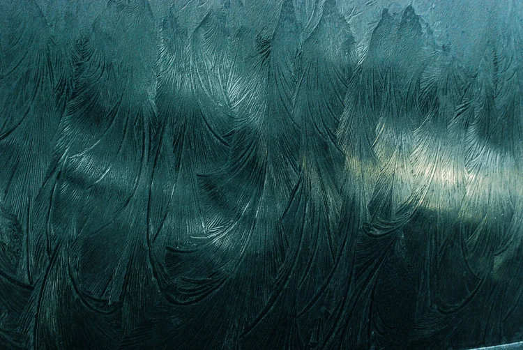 Frost Patterns I