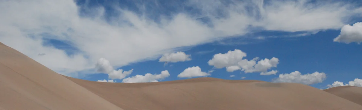 Dune's Back
