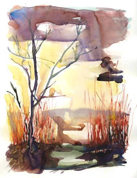 Red Willow and Apple