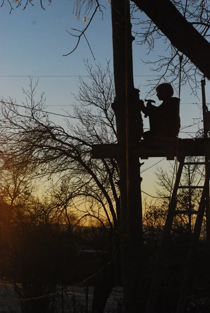 Tree House