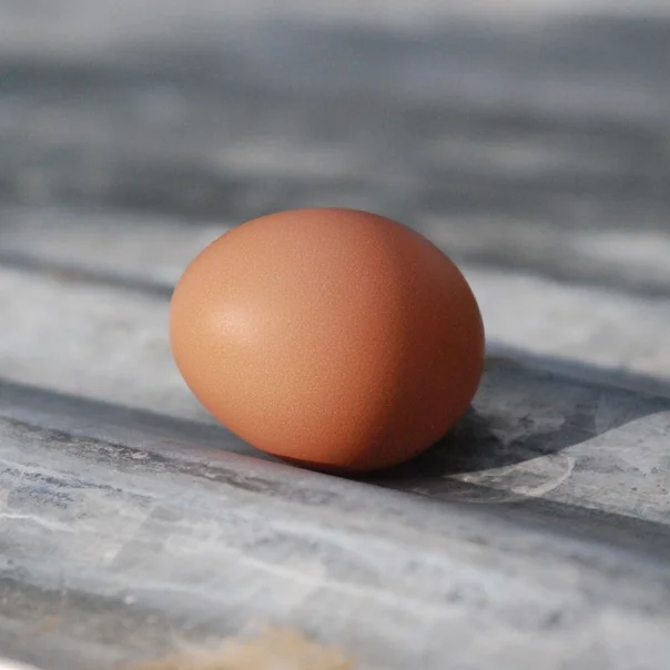 perfect_egg_web.jpg