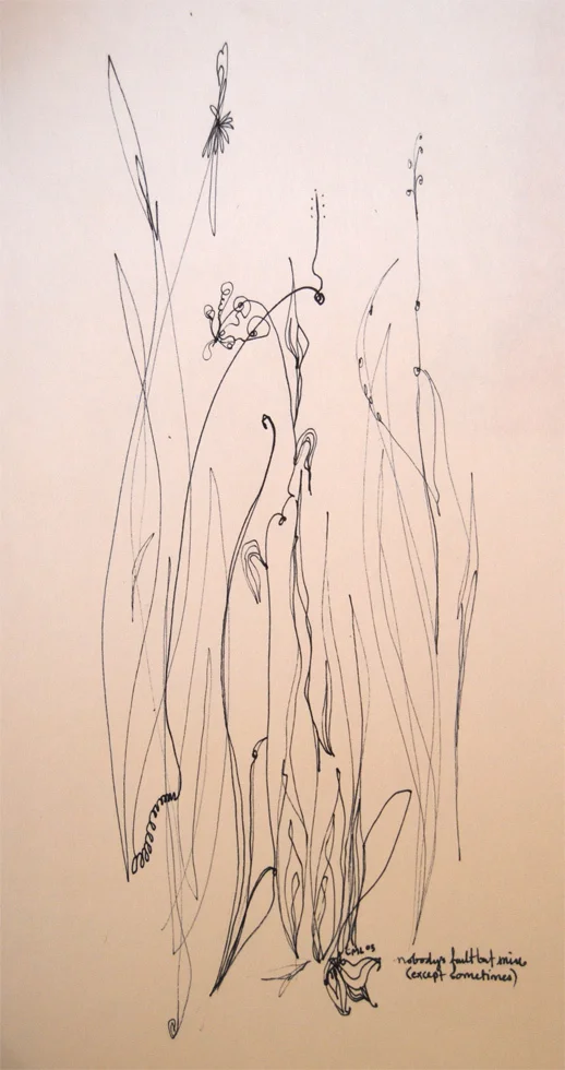 Nobody's Fault But Mine