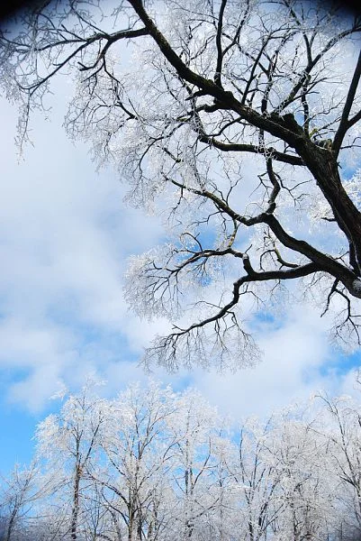 ice_storm_sky.jpeg