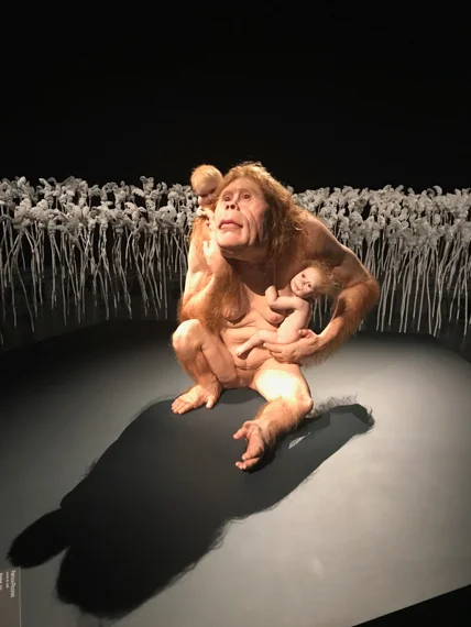 Piccinini’s ‘Curious Affection’ will be exhibiting until August 5th, 2018 at The Gallery of Modern Art (GOMA).