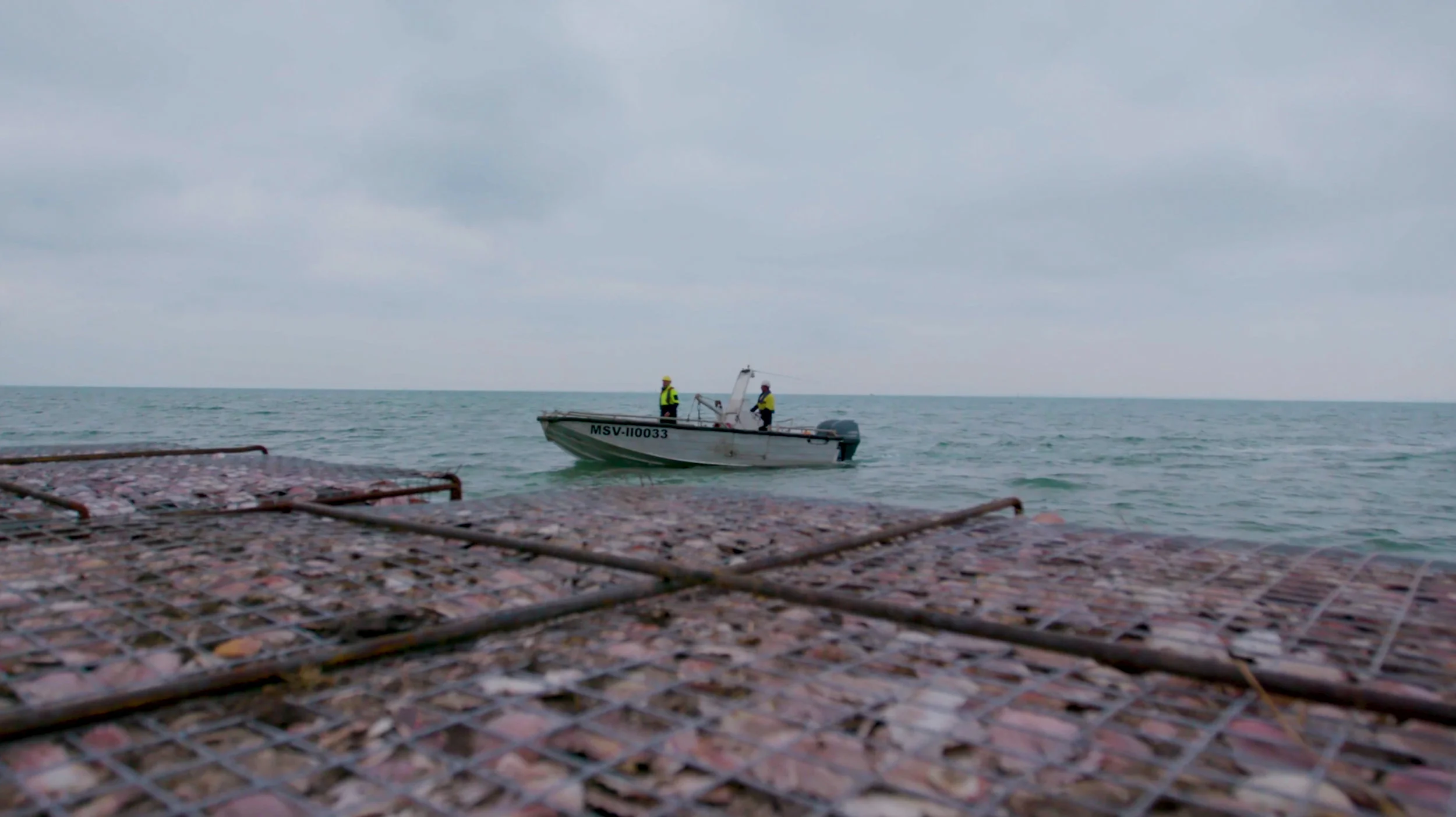 The City of Greater Geelong’s reef engineers